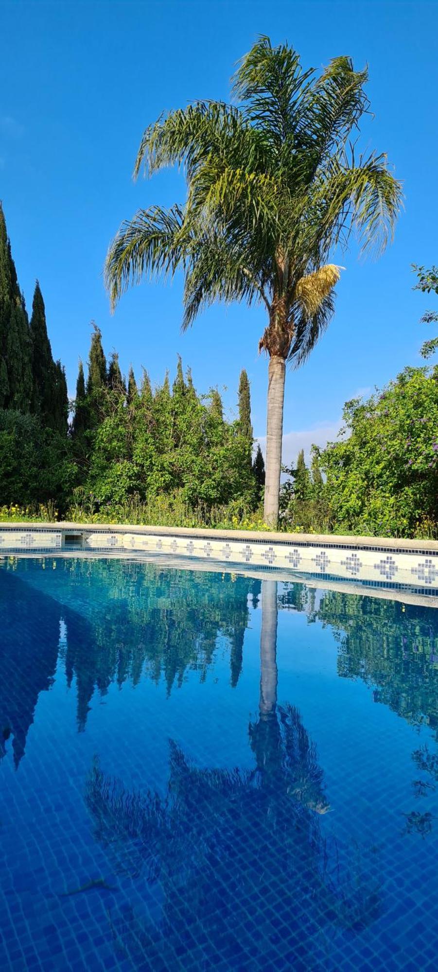 La Alqueria Villa San Martin del Tesorillo Bagian luar foto