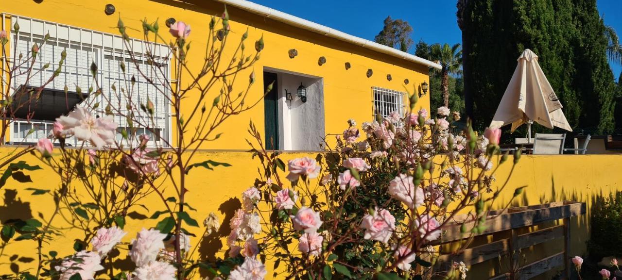 La Alqueria Villa San Martin del Tesorillo Bagian luar foto