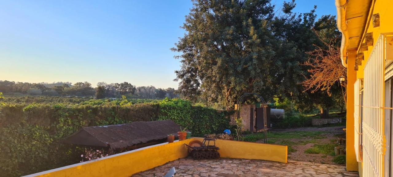 La Alqueria Villa San Martin del Tesorillo Bagian luar foto